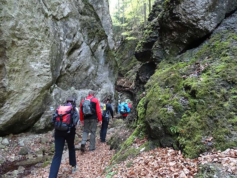 Steinwandklamm